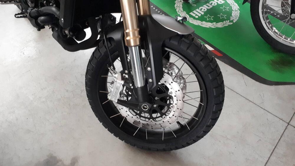 Benelli Leoncino 800 Trail (2022 - 25) (6)