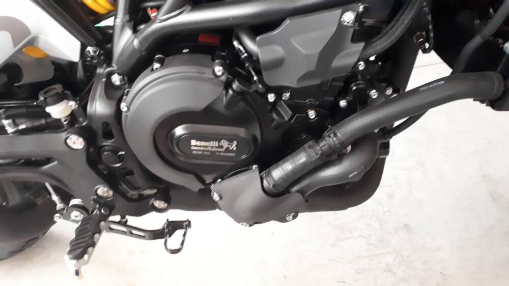 Benelli Leoncino 800 Trail (2022 - 25) (4)