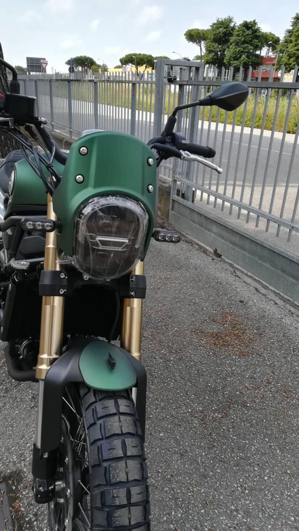 Benelli Leoncino 800 (2022 - 25) (4)