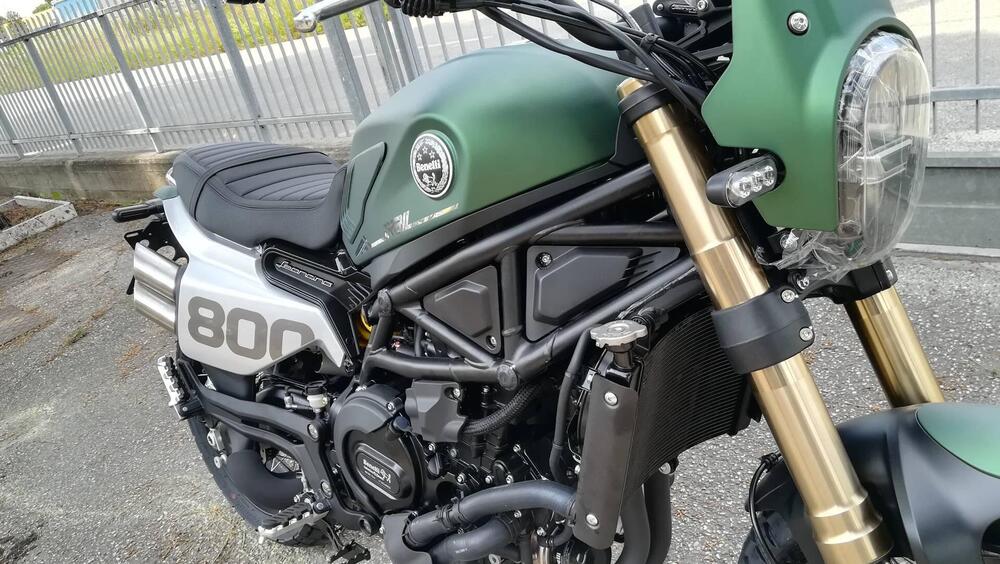 Benelli Leoncino 800 (2022 - 25) (5)