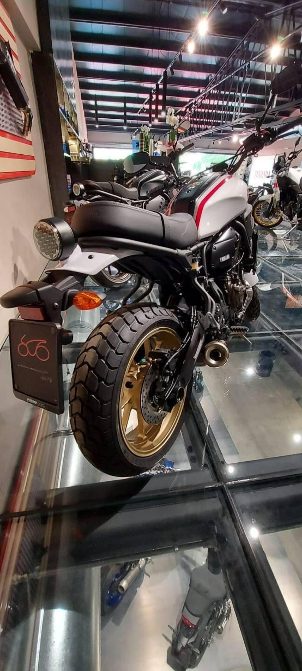 Yamaha XSR 700 XTribute (2022 - 24) (3)