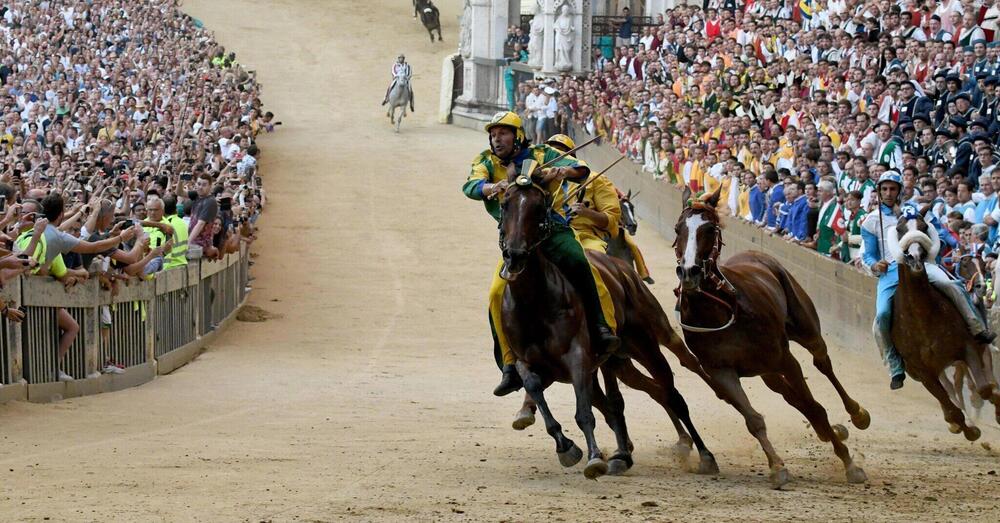 Palio di Siena, gli Animalisti choc: &ldquo;Il sindaco &egrave; un assassino&rdquo;. Denunciano 50 cavalli morti