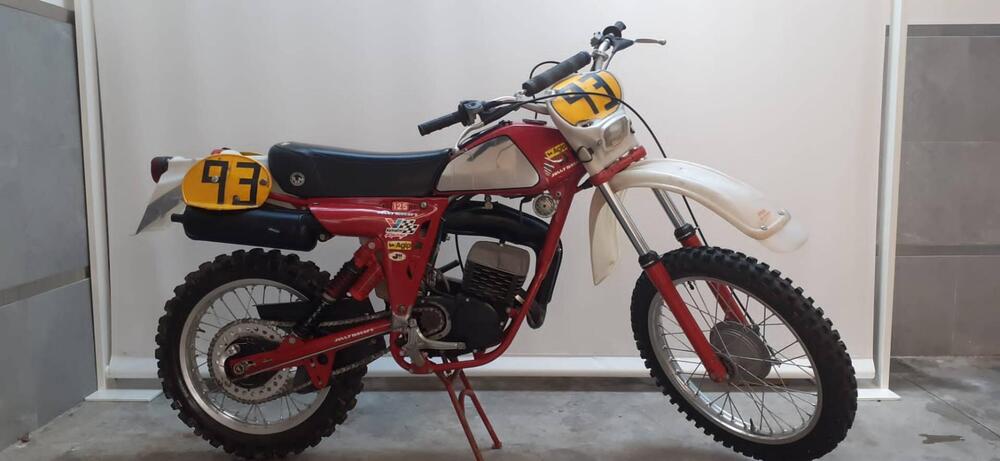 Swm rs 125 gs (2)