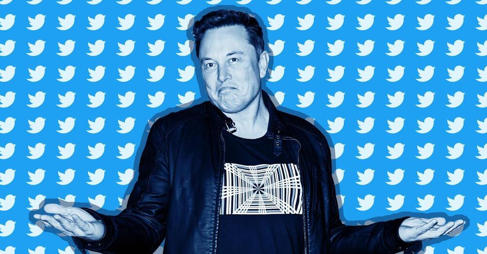 Dopo aver indagato, Musk non vuole pi&ugrave; Twitter: noi (e i nostri dati) non siamo abbastanza per lui