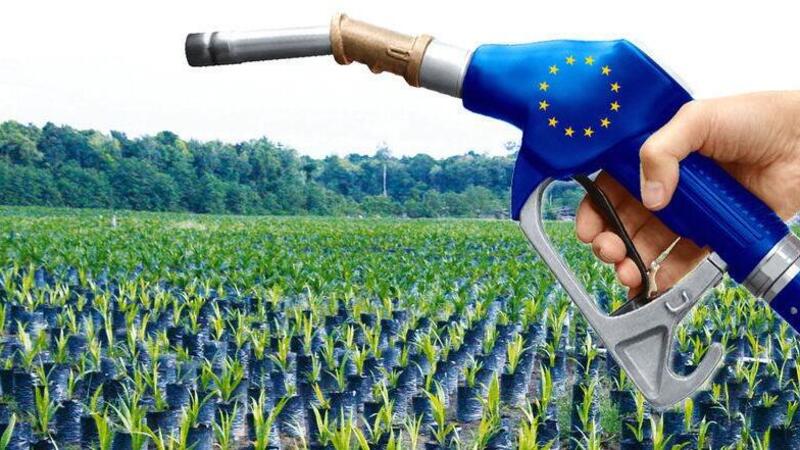 Biocarburanti, si o no? Allarme britannico con proposta all&#039;UE di stopparne la produzione [per crisi alimentare]