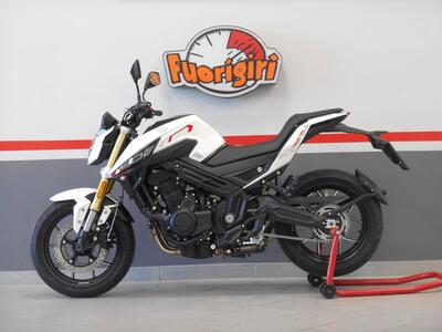 Morbidelli M502N (2024 - 25) nuova