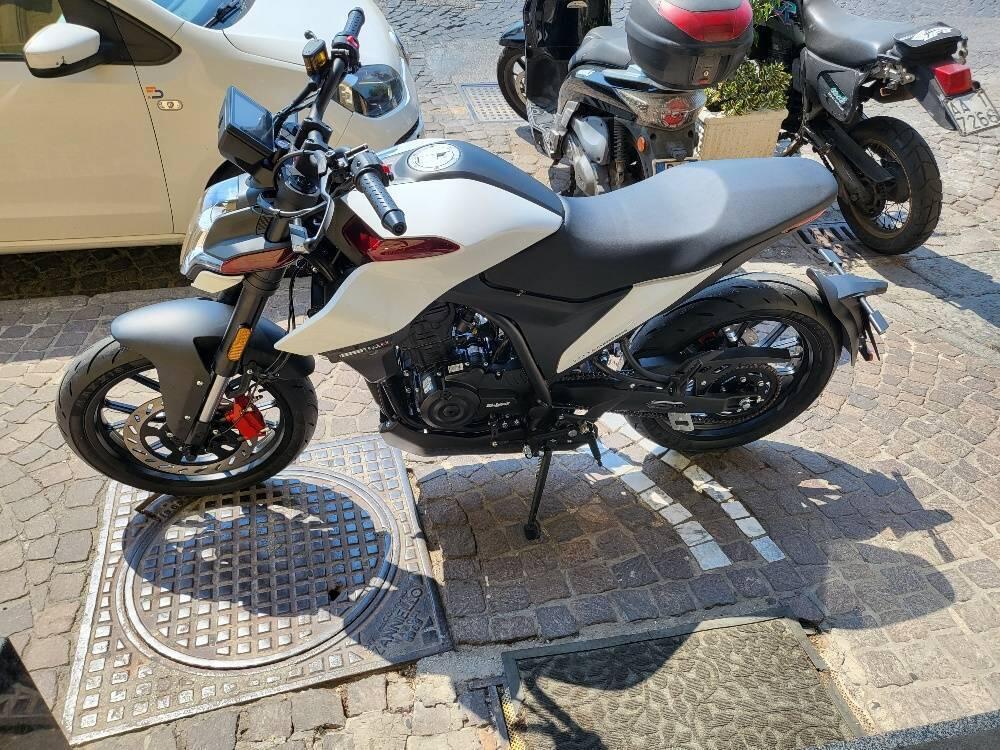 Malaguti Drakon 125 (2022 - 25) (6)