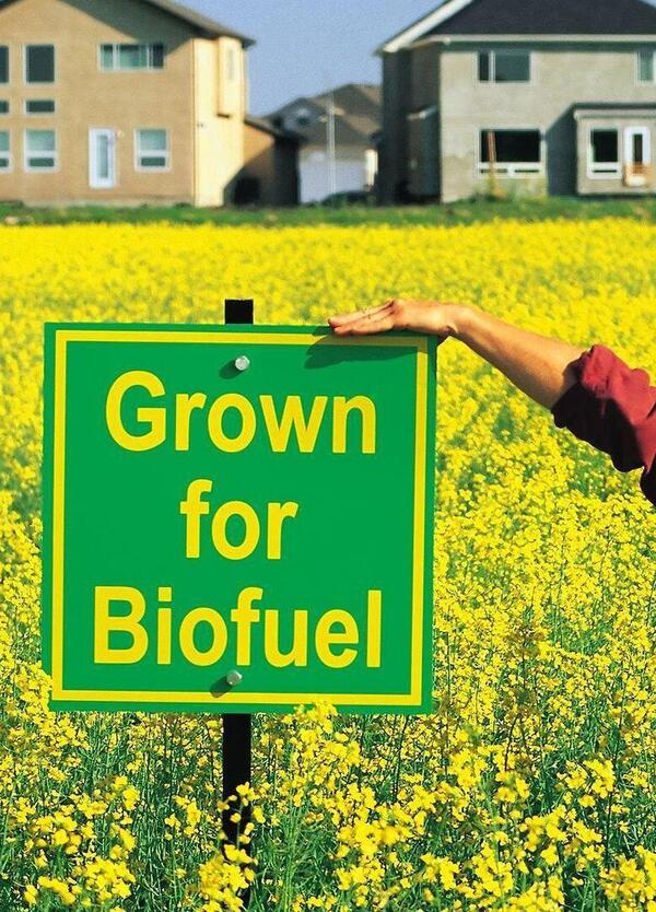 I biocarburanti ci salveranno dalla &ldquo;tirannia&rdquo; dell&rsquo;auto elettrica? La strada &egrave; in salita, ma&hellip;