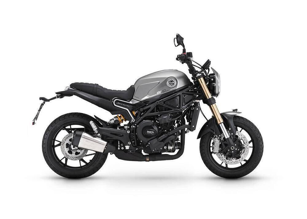 Benelli Leoncino 800 (2022 - 25)