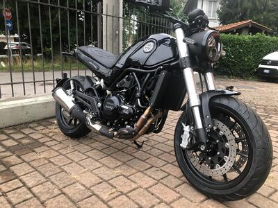 Benelli Leoncino 500 (2021 - 25) nuova