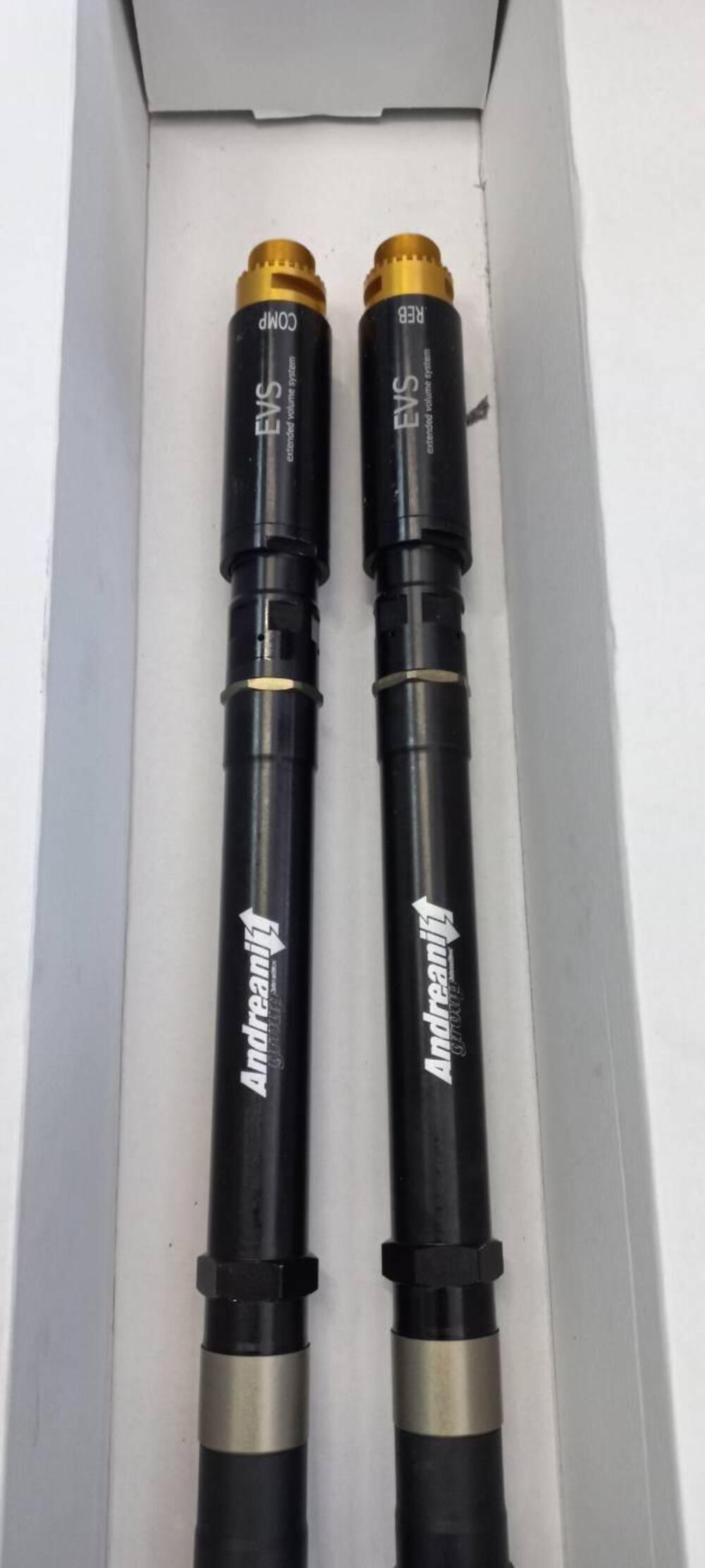 Cartucce Andreani Pressurizzate Evs per Yamaha tap Andreani Group (2)