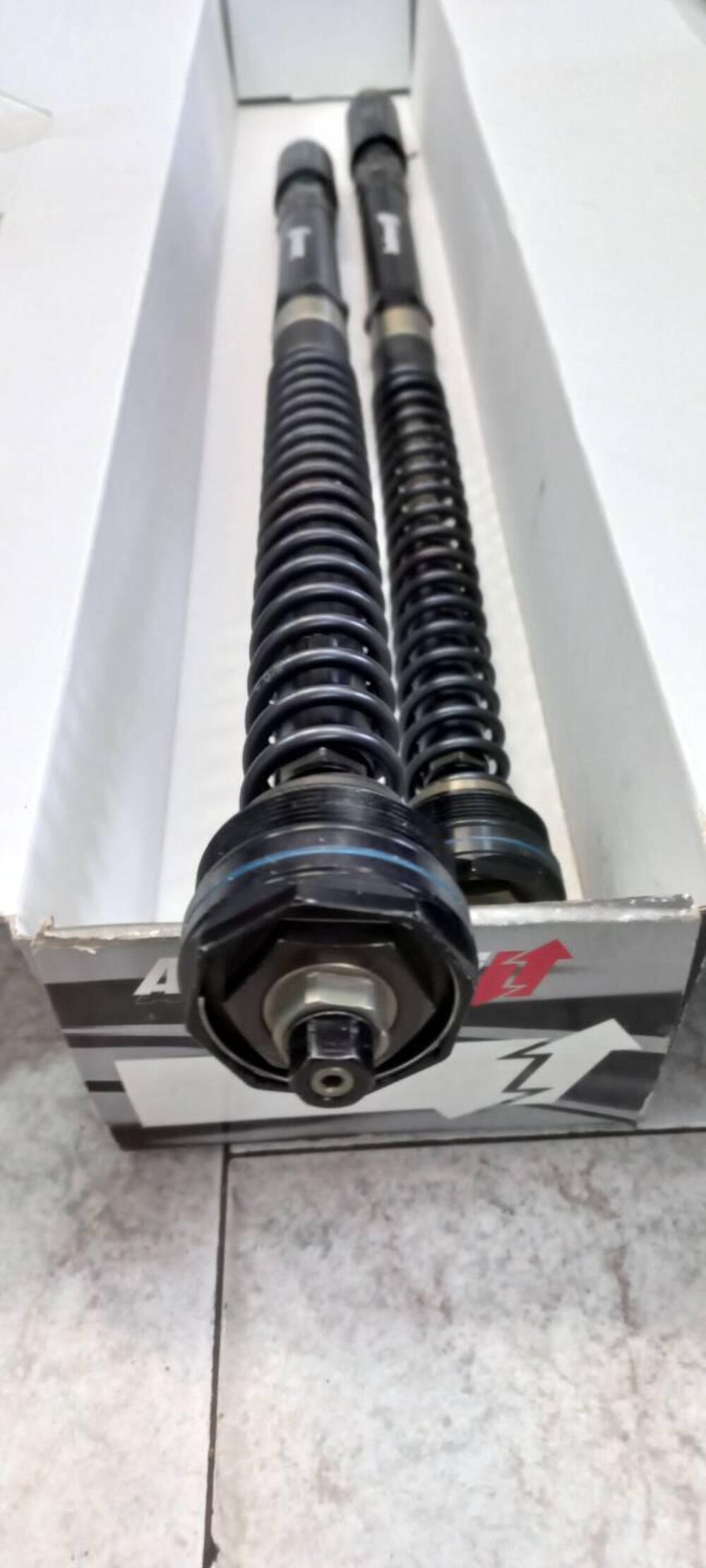 Cartucce Andreani Pressurizzate Evs per Yamaha tap Andreani Group (3)