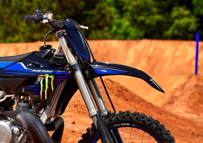 Yamaha YZ 250 YZ 250 Monster Energy (2023) (4)