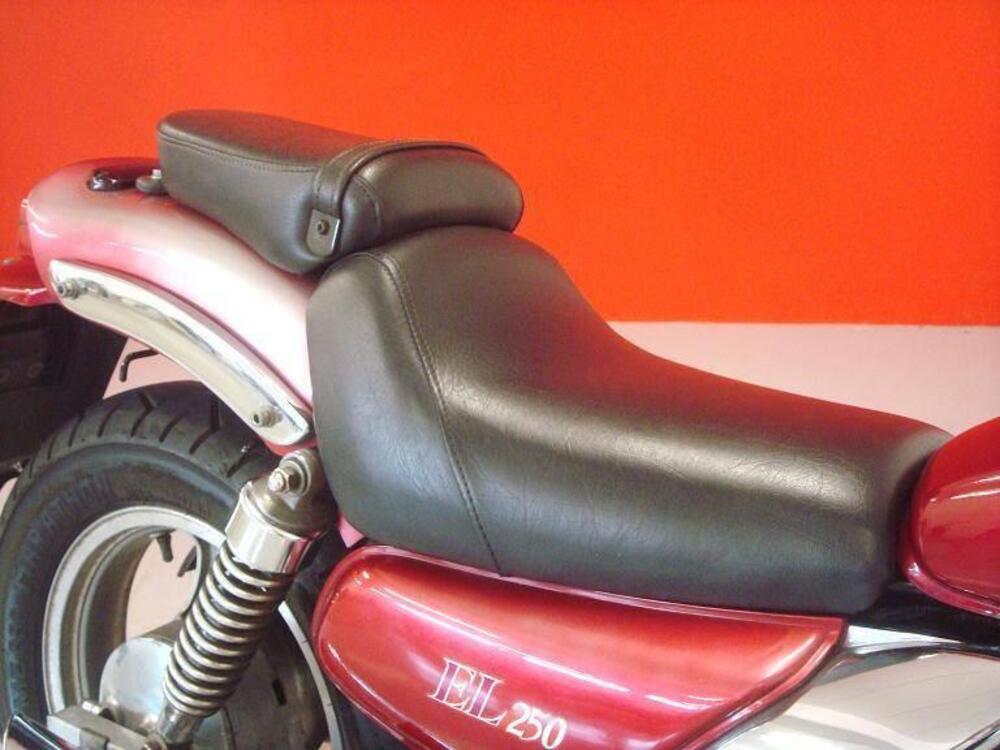 Kawasaki EL 250 (13)