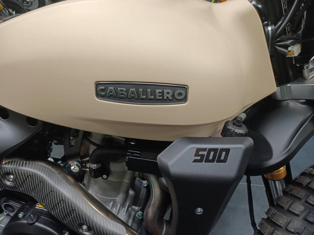 Fantic Motor Caballero 500 Rally (2021 - 23) (6)