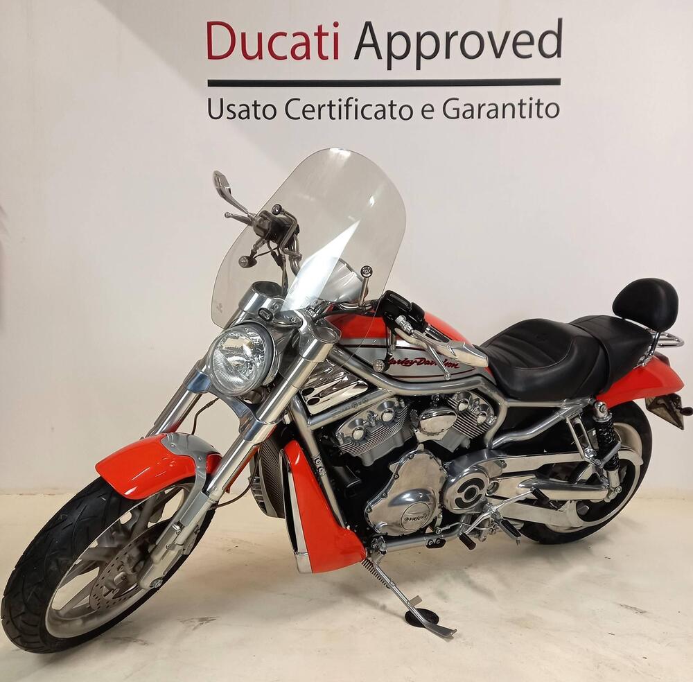 Harley-Davidson 1130 Street Rod (2005) - VRSCR (2)