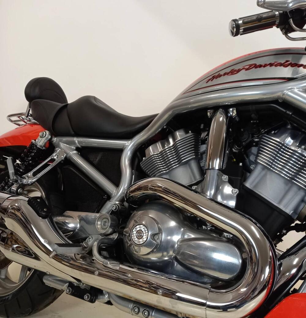 Harley-Davidson 1130 Street Rod (2005) - VRSCR (5)