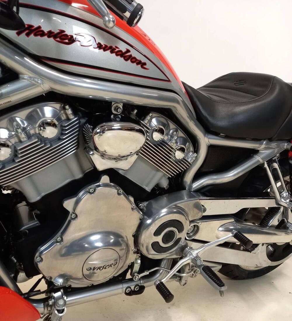 Harley-Davidson 1130 Street Rod (2005) - VRSCR (6)