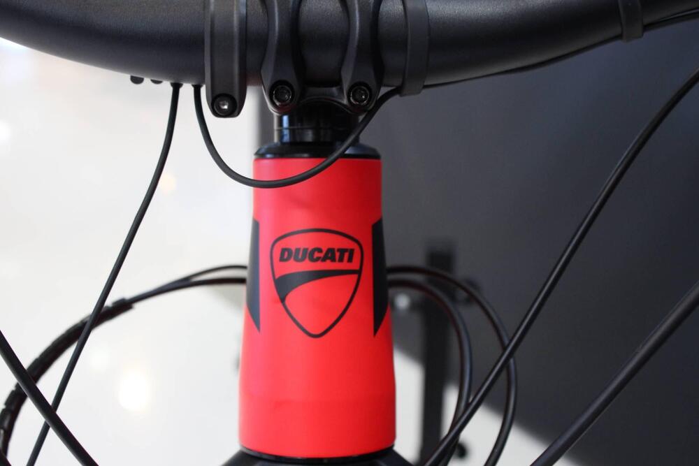 Ducati MIG-RR (2019) (8)