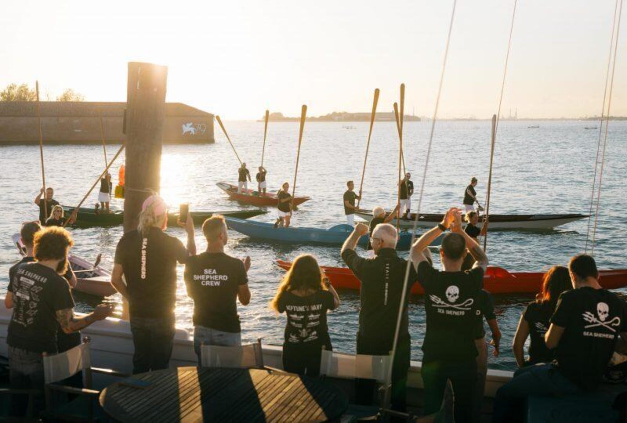 I Guardiani del Mare Sea Shepherd film Venezia