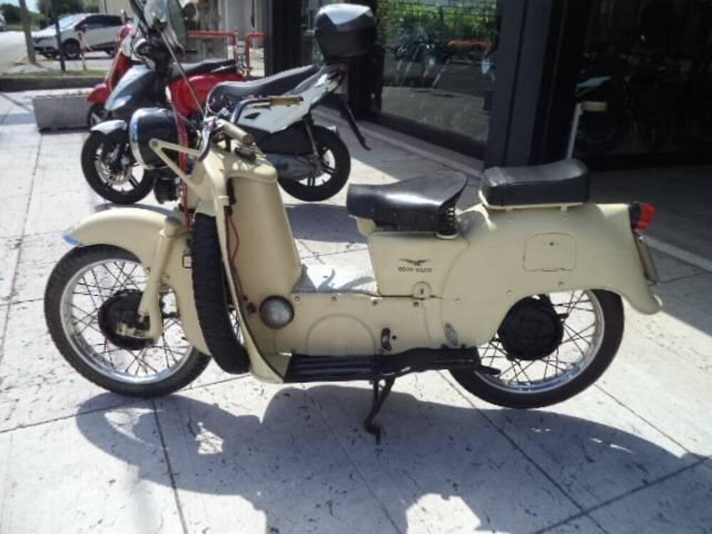 Moto Guzzi GALLETTO 192 (2)
