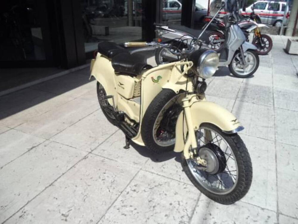 Moto Guzzi GALLETTO 192 (3)