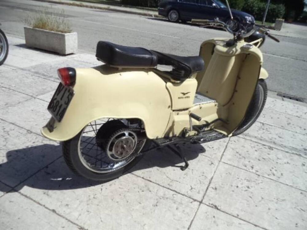 Moto Guzzi GALLETTO 192 (5)