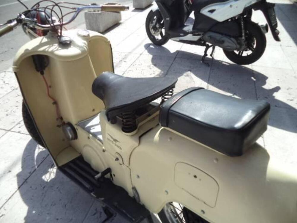 Moto Guzzi GALLETTO 192 (15)