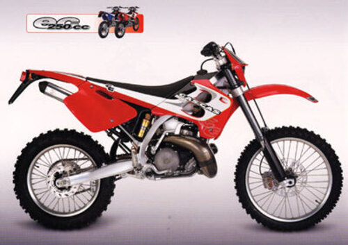 GASGAS EC 250 WP (1999 - 01)