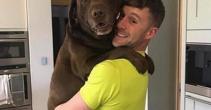 Jonathan Rea: &quot;Vi racconto che cosa &egrave; successo tra me e gli hater&quot;