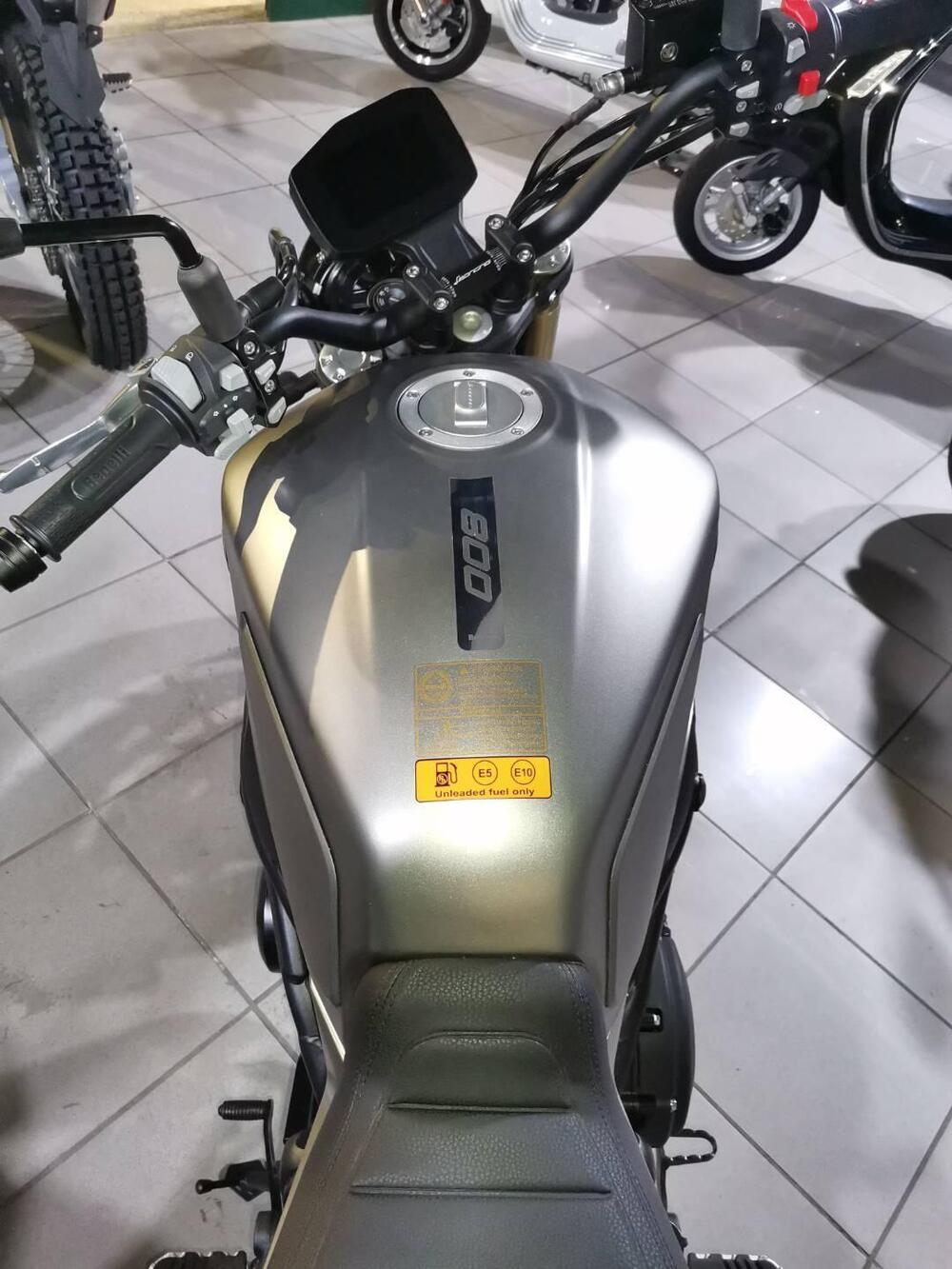 Benelli Leoncino 800 (2022 - 25) (4)
