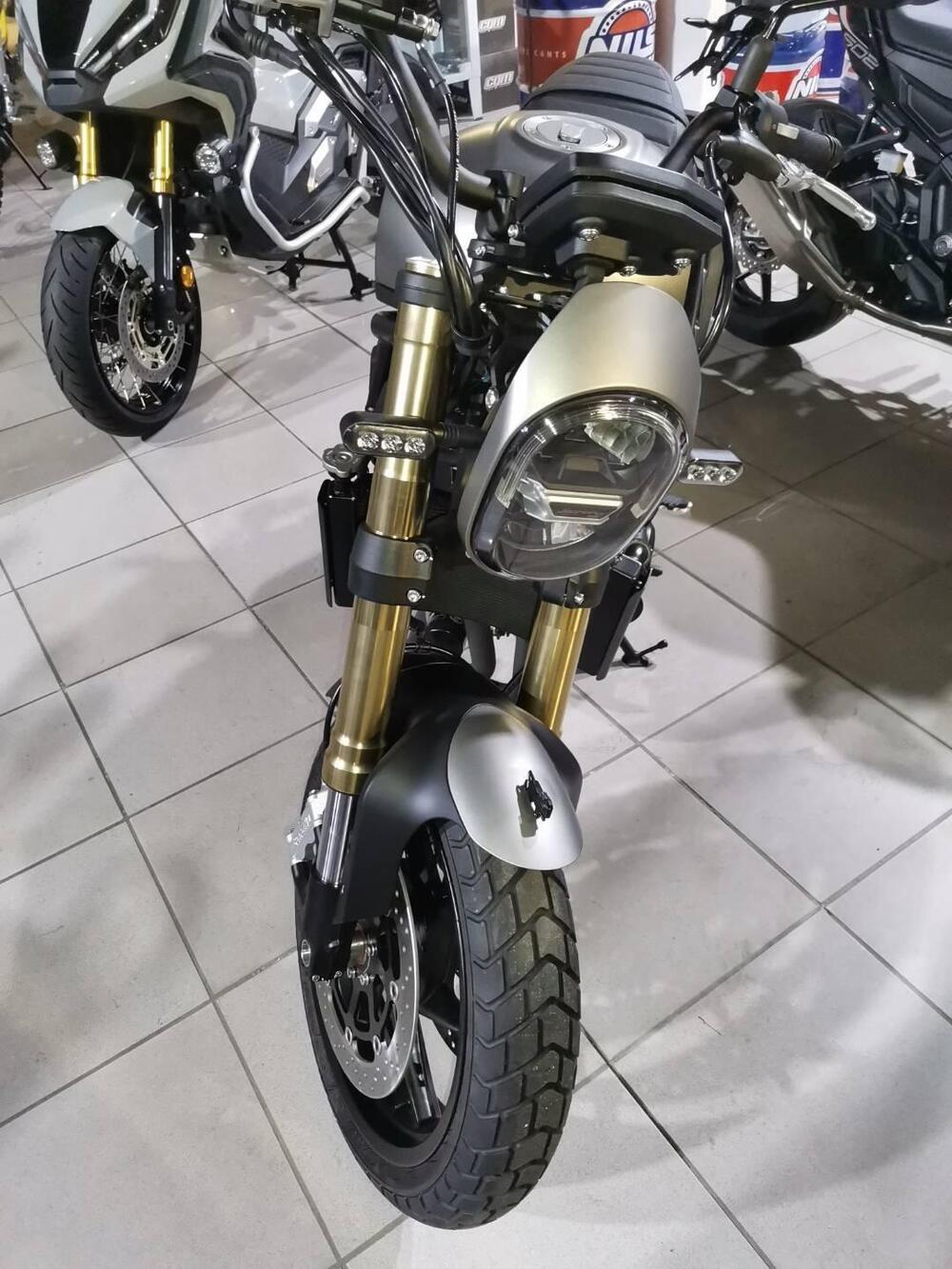 Benelli Leoncino 800 (2022 - 25) (2)