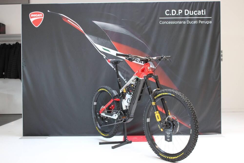 Ducati TK-01RR (2021 - 24) (3)