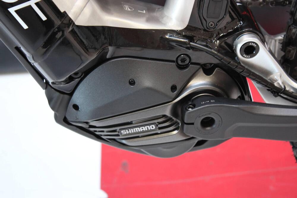 Ducati TK-01RR (2021 - 24) (12)