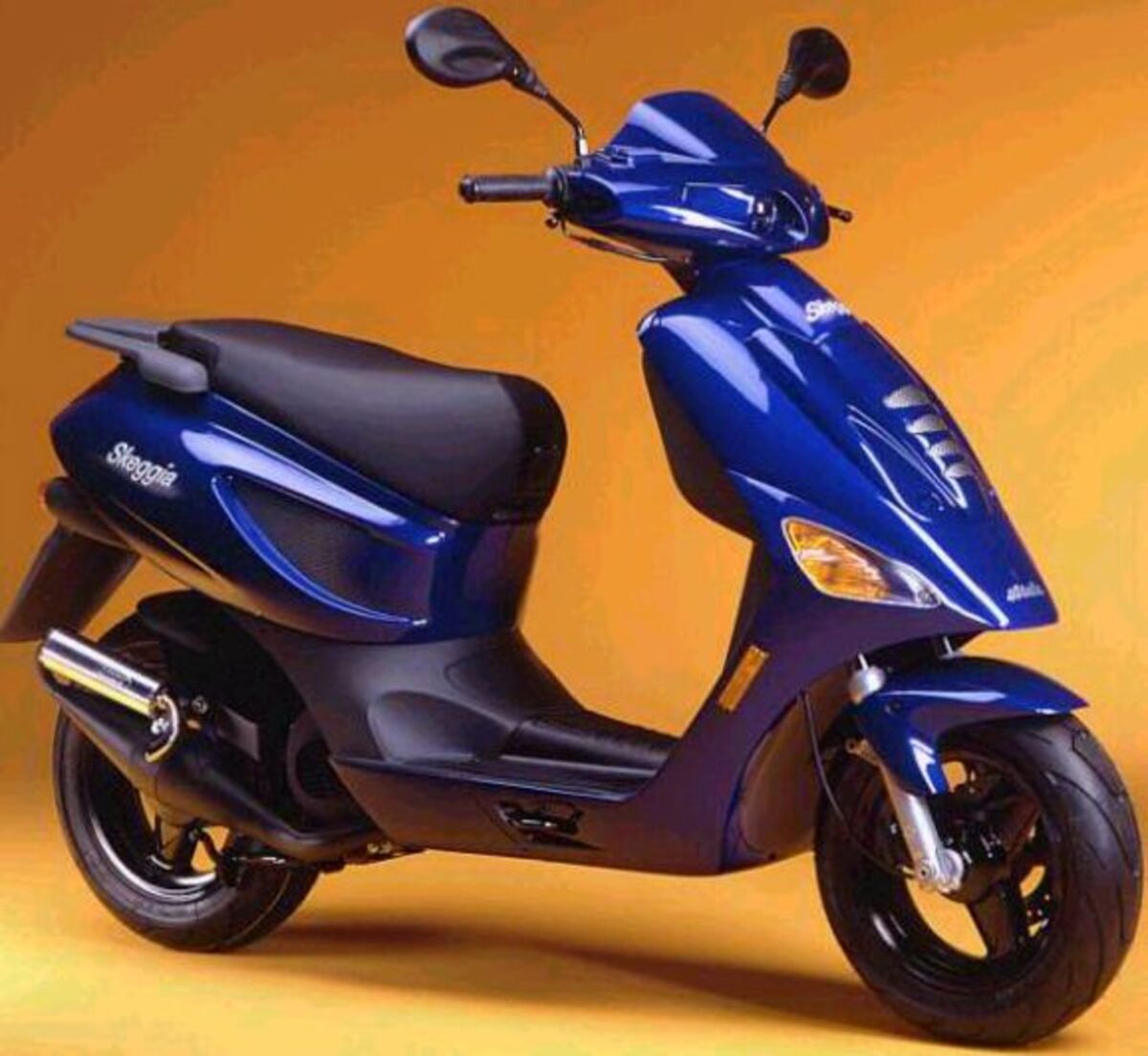 Atala Skeggia 50 cat.