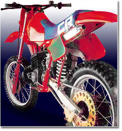 Betamotor CR 250