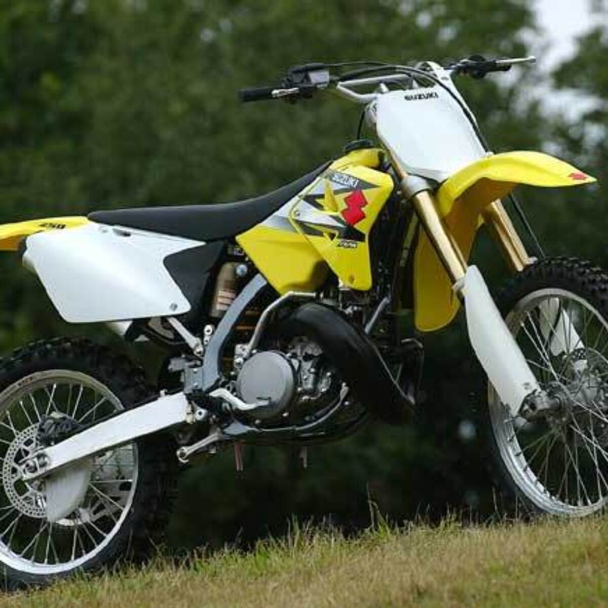 Suzuki RM 250 (2004)