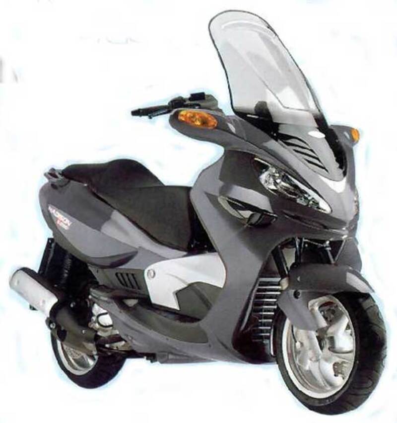 Malaguti Madison 250 RS Madison 250 RS (2003 - 04)