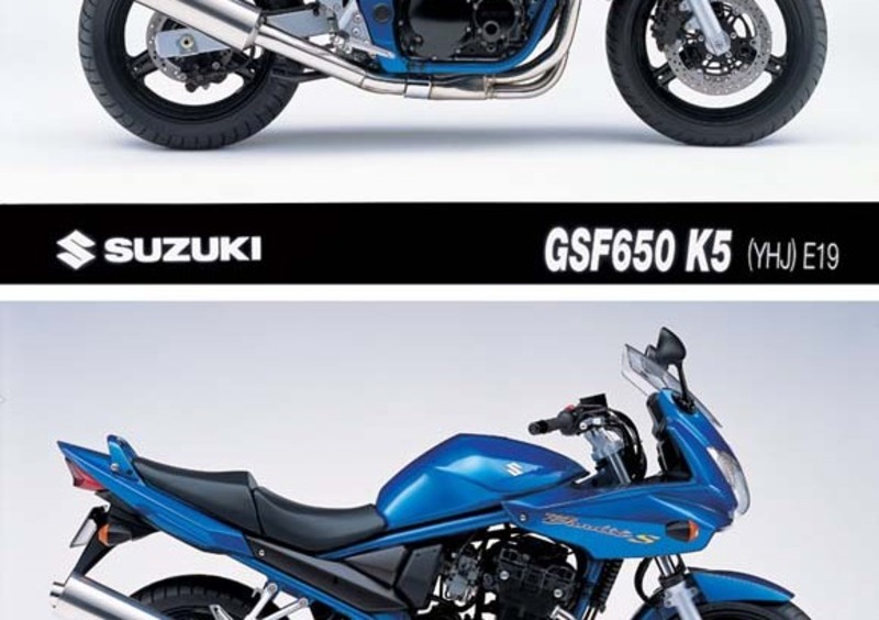 Suzuki GSF 650 Bandit GSF 650 Bandit (2005 - 06)