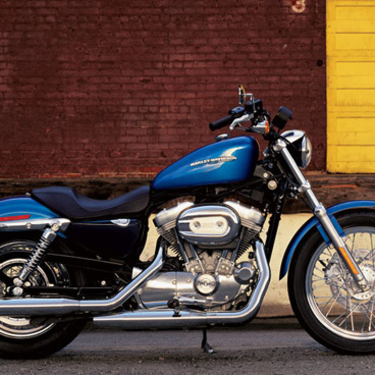 Harley-Davidson 883 Low (2005) - XL 883L