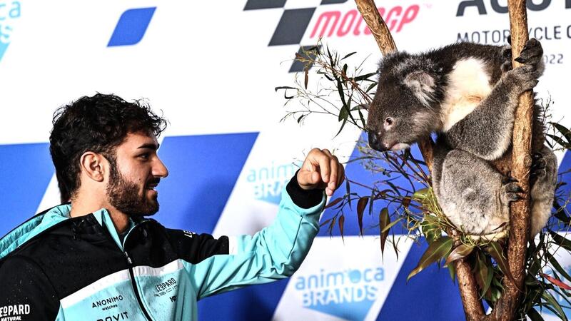 MotoGP 2022. GP d&#039;Australia. Serpenti, koala, piloti che si preoccupano di altri piloti e altre cose da Phillip Island [GALLERY]