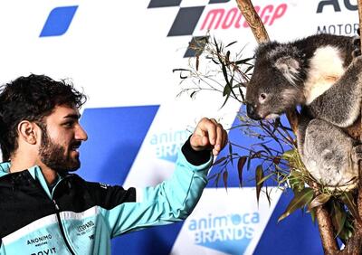 MotoGP 2022. GP d'Australia. Serpenti, koala, piloti che si preoccupano di altri piloti e altre cose da Phillip Island [GALLERY]