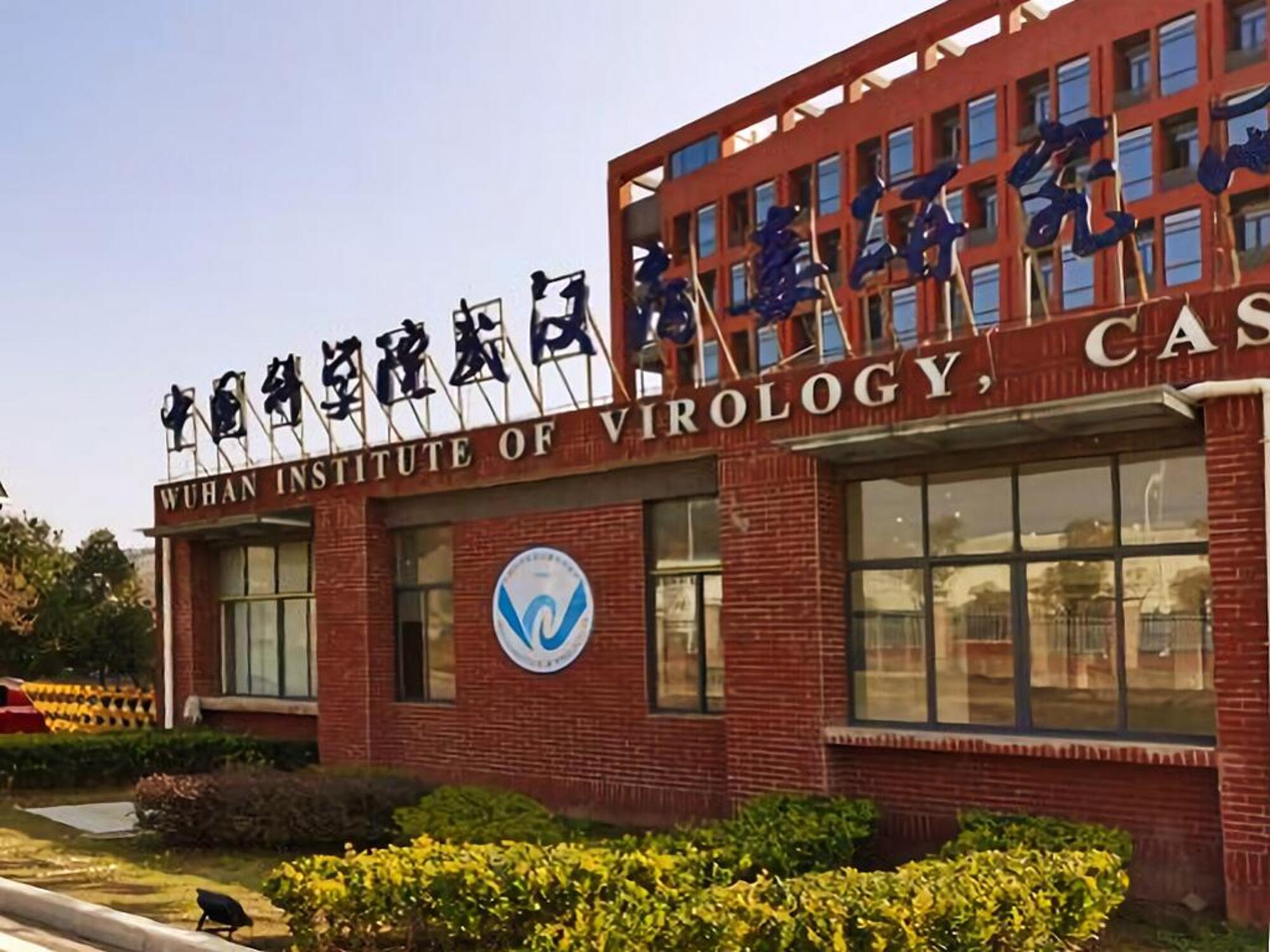 Il Wuhan Institute of Virology, il laboratorio al centro delle ipotesi