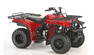 Yamaha Bear Tracker 250 X