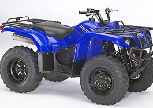 Yamaha Bruin 350 AN