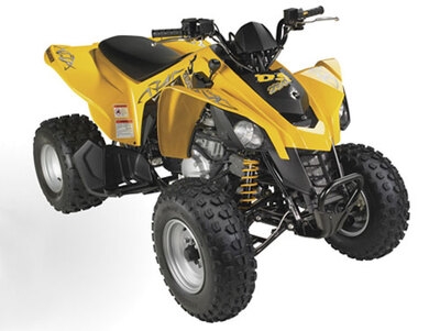 Can-Am Brp DS 250 BD