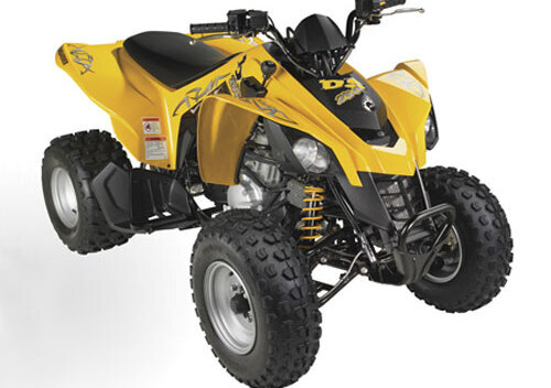 Can-Am Brp DS 250 BD