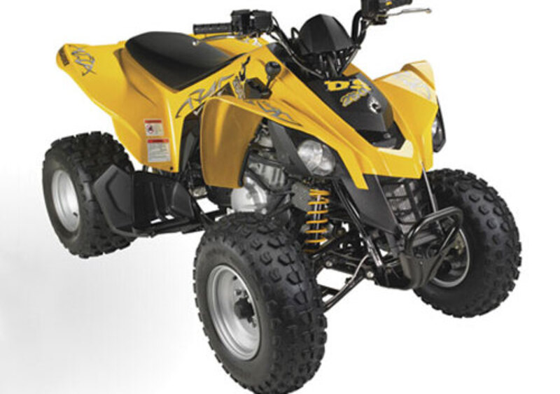 Can-Am Brp DS 250 BD DS 250 BD