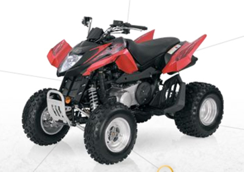 Arctic Cat 250 DVX