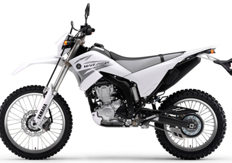 Yamaha WR 250 R WR 250 R (2008 - 13)